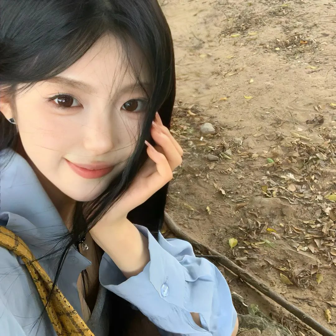 一条狗的回家路